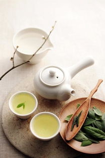 茶葉養生 鄭佩佩、凱麗領銜，媽媽們的健康保養經