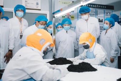 傳承技藝，創(chuàng)新工業(yè) 混沌大學(xué)創(chuàng)新商學(xué)院黃山尋味現(xiàn)代派小罐茶